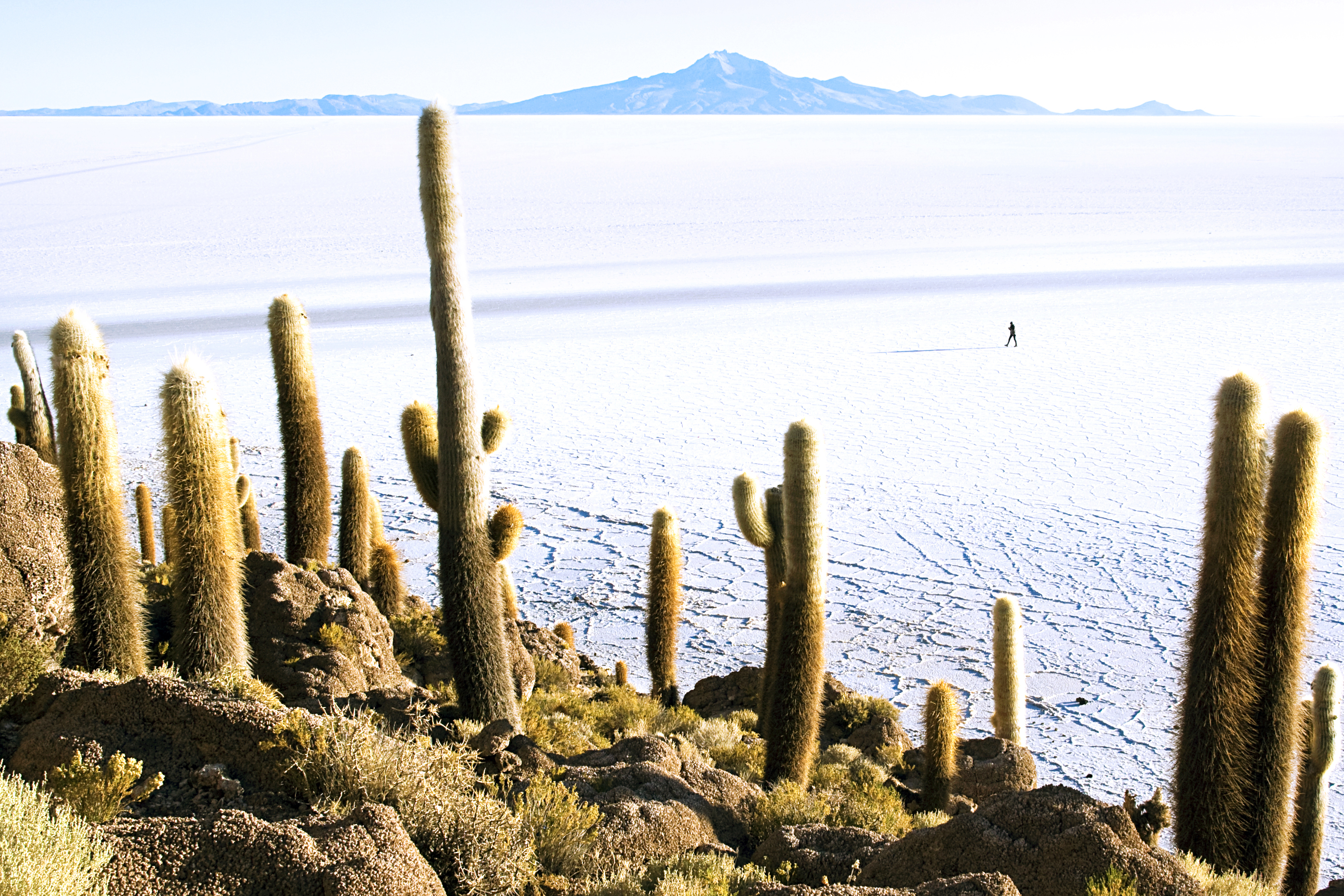 Lithium brine evaporation ponds on a salt flat
